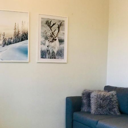Santa'S Cozy Retreat, Near Santa'S Village Rovaniemi Bagian luar foto